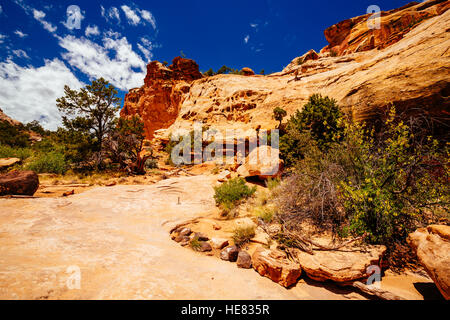 Der Weg zur Hickman Bridge ist beliebteste Wanderung Capitol Reef National Park und mit fantastischen Blick auf Waterpocket Fold und die majestätischen nat Stockfoto