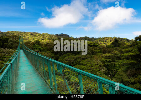 Hängebrücke über den Baumkronen der Bäume in Monteverde, Costa Rica, Mittelamerika Stockfoto