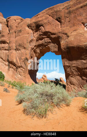 Berühmte Kiefer Baum Bogen in den Arches National Park, Utah, USA Stockfoto