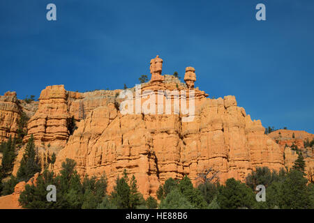 Red Canyon in der Nähe von Bryce Canyon National Park in Utah, USA Stockfoto
