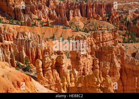 Bryce Canyon Nationalpark in Utah, USA Stockfoto