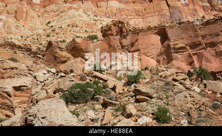Capitol Reef National Park in Utah, USA Stockfoto
