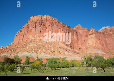 Frutta Dorf im Capitol Reef National Park in Utah, USA Stockfoto