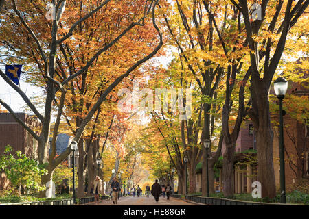 Heuschrecken Spaziergang mit einer Menge von Studierenden im Herbst auf dem Campus, Universität von Pennsylvania, University City, Philadelphia, PA, USA Stockfoto