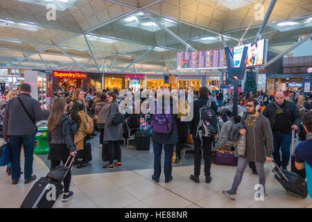 Weihnachten Urlaub Menschenmassen am Flughafen Stansted für das Urlaubsziel. Stockfoto