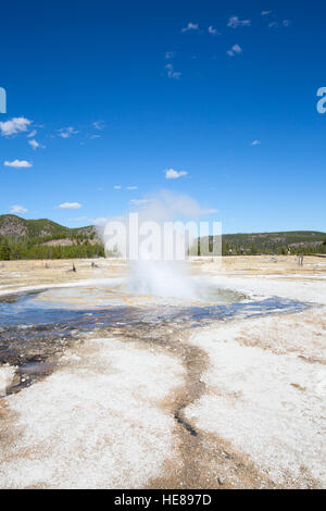 Geysir-Ausbruch in den Yellowstone National Park, USA Stockfoto