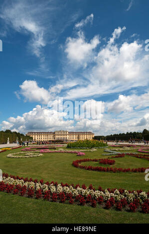 Blumenbeet im Park, Schloss Schönbrunn, Wien, Österreich Stockfoto