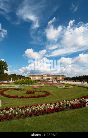 Blumenbeet im Park, Schloss Schönbrunn, Wien, Österreich Stockfoto