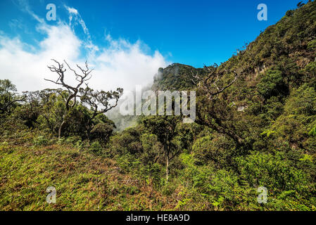 Sri Lanka: Horton Plains Nationalpark, Wolkenbildung Stockfoto