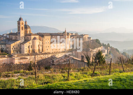 Urbino Stadtbild mit dem Dom & Palazzo Ducale. Region Marken, Italien. Stockfoto