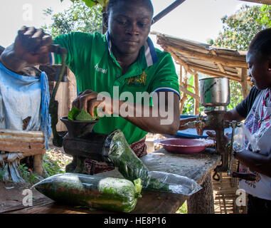 Cassava leafs Beeing gehackt auf Markt in Kabala, Sierra Leone Stockfoto