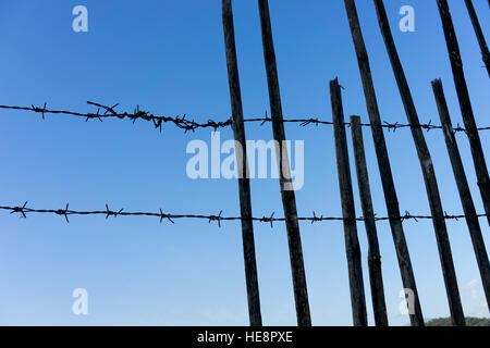 Stacheldraht auf dem Hintergrund des blauen Himmels Stockfoto