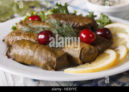Köstliche hausgemachte Dolma Rebsorte lässt mit Kräutern auf eine Platte Nahaufnahme. horizontale Stockfoto
