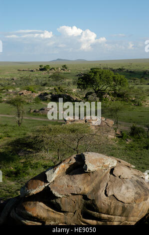 Landschaft mit Granit Outcroppings bekannt als Kopjes, Arash, Grenze, Serengeti, Tansania Stockfoto