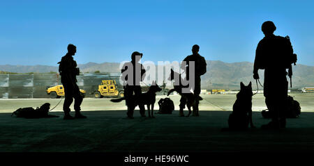 Mehr als 15 US Army tactical Sprengstoffspürhunde und ihre Handler beteiligen sich an Rettung Training mit 83. Expeditionary Rescue Squadron Pararescueman in Bagram Air Field, Afghanistan, Juni 21. Jeder Hund und Hundeführer Duo waren Hebezeug in einem HH - 60G Pave Hawk-Hubschrauber während des gemeinsamen Trainings hier zum ersten Mal statt.  Staff Sergeant Stephenie Wade) Stockfoto