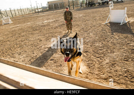 US Navy Waffenwart 3. Klasse Christopher Coolahan und militärischer Arbeitshund Meky, zugewiesene Camp Lemonnier Basis Security, beteiligen sich an kontrollierten Übungen am Camp Lemonier, Dschibuti, 30. Januar 2013. MWDs werden verwendet, um Verdächtige festzunehmen, Suchvorgänge und Sprengstoffen und Drogen zu erkennen.  Captain Nick Strocchia Stockfoto