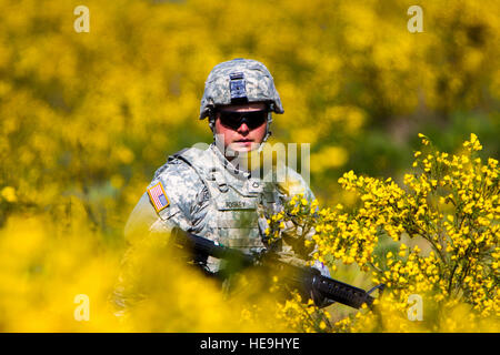 Ein US-Soldat, 46. Aviation Support Battalion, 16. Combat Aviation Brigade, 7. Infanterie-Division zugewiesen bietet Perimetersicherheit während Bellator Stakes 2016 am Joint Base Lewis-McChord, Wash., 12. Mai 2016. Bellator Einsätze ist eine jährliche Übung unter der Leitung von 46. ASB, die 16. CAB Versorger eine Gelegenheit bietet, taktische und technische Fähigkeiten in einem Bereich Umfeld zu verbessern. Stockfoto