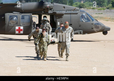 US-Flieger, Soldaten und Matrosen transport ein simuliertes Patienten aus einem medizinischen UH-60 Black Hawk-Hubschrauber zu einem wartenden Flugzeug c-17 Globemaster III für medizinische Evakuierung vom Schlachtfeld zur weiteren medizinischen Versorgung auf 23. Juni 2012 während der Übung GLOBAL MEDIC 2012.  Übung GLOBAL MEDIC 2012 ist eine jährliche gemeinsame Feld Trainingsübung für Theater aeromedical Evakuierungssysteme und Boden medizinische Komponenten entwickelt, um alle Aspekte der medizinischen Kampfunterstützung zu replizieren.  Techn. Sgt Erica J. Knight Stockfoto