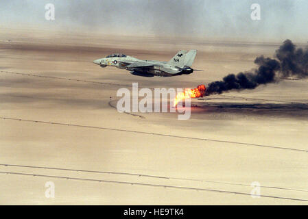 Ein Fighter Squadron 114 (VF-114) F-14A Tomcat-Flugzeug fliegt über eine Ölquelle brennt noch in der Zeit nach der Operation Desert Storm. Stockfoto