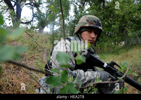 US Army Spc. Patrick Flores, 797th Engineer Company, Guam, zieht Sicherheit während einer aeromedical Evakuierung Simulation am Fort Hunter Liggett, Calif., 17. Mai 2011, zur Unterstützung der Global Medic 2011 und Krieger 91 11-01. Krieger-Übung Möglichkeit teilnehmenden Stationen die, militärische Manöver und Taktiken wie Sicherheit, Konvoi-Operationen und schnelle Reaktion Bohrer bei simulierten Angriffen zu Proben. Globale Medic ist ein gemeinsames Feld Trainingsübung für Theater aeromedical Evakuierung System und Boden medizinische Komponenten entwickelt, um alle Aspekte der Bekämpfung Sanitätsdienst Suppo replizieren Stockfoto