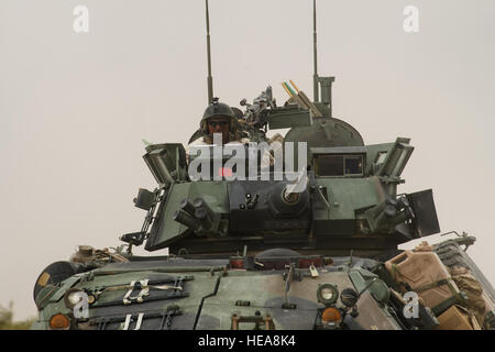 Ein US-Marine, Alpha Co. zugewiesen 2. Licht Armored Reconnaissance Battalion, Fahrten in einem Light Armored Vehicle während der Teilnahme an integrierten Übung 3-15, im Marine Corps Air Ground Combat Center Twentynine Palms, Kalifornien, 20. Mai 2015. MCAGCC führt relevant Leben Feuer kombinierte Waffen training, urbane Operationen und Gelenk/Koalition Integration Ebene Training, das fördert die operativen Kräfte Bereitschaft.  Senior Airman Juan A. Duenas Stockfoto