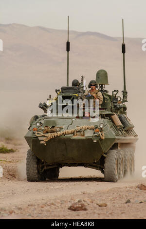 Ein US-Marines Light Armored Vehicle von Alpha Co. 2nd Light Armored Reconnaissance Battalion navigiert das Wüste Gelände während der Teilnahme an integrierten Übung 3-15, im Marine Corps Air Ground Combat Center Twentynine Palms, Kalifornien, 20. Mai 2015. MCAGCC führt relevant Leben Feuer kombinierte Waffen training, urbane Operationen und Gelenk/Koalition Integration Ebene Training, das fördert die operativen Kräfte Bereitschaft.  Senior Airman Juan A. Duenas Stockfoto