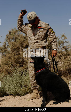 Ein irakische Polizisten mit dem Diyala Polizeihund Programm arbeitet mit seinem Hund, einem nachgebauten Sprengsatz während einer gemeinsamen Übung mit US-Soldaten von Headquarters und Headquarters Company k-9, 1st Stryker Brigade Combat Team, 25. Infanterie-Division auf vorwärts Operating Base War Horse, in der Nähe von Baqouba, Irak, Aug. 2 zu finden. Stockfoto