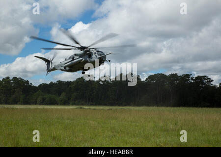 Ein CH-53E Super Stallion bereitet am TLZ Reiher im Rahmen einer taktischen Wiederherstellung Flugzeuge landen und Schulung des Personals trainieren Sie im Camp Lejeune, North Carolina, 21. September 2016. Marines mit Charlie Kompanie, 1. Bataillon, 2. Marine Regiment, 2. Marine-Division führte das Training zur Vorbereitung ihrer Falle Kraft Rolle während der kommenden Special-Purpose Marine Air Ground Task Force, Krise Antwort-Afrika Bereitstellung. Das Fluggerät und Besatzung sind von HMH-461, MAG-29, Marine Corps Air Station New River.  Lance CPL Victoria Ross) Stockfoto