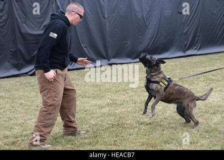 Techn. Sgt. Bryan Dell, 375-jährigen Sicherheit Kräfte Squadron NCOIC militärischer Arbeitshund Abschnitt antagonisiert Fay, 375-jährigen SFS militärischer Arbeitshund, während Fang Aggression training 20. März 2015, bei der 375-jährigen SFS militärischen arbeiten Hundezwinger auf Scott Air Force Base, Ill. Schnauze Aggression Training hilft, ein Individuum zu schützen, wenn das MWD freigegeben wird.  Senior Airman Tristin Englisch) Stockfoto