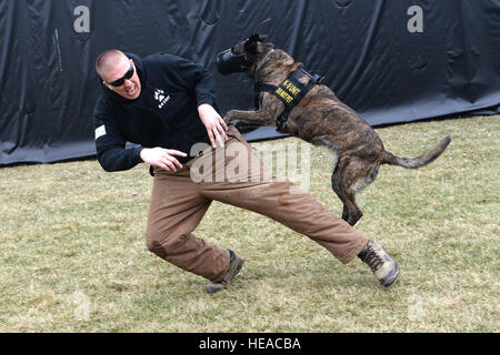 375-jährigen Sicherheit Kräfte Squadron NCOIC militärischer Arbeitshund Abschnitt, techn. Sgt. Bryan Dell bekommt von Fay, 375-jährigen SFS militärischer Arbeitshund, während Fang Aggression training 20. März 2015, bei der 375-jährigen SFS militärischen arbeiten Hundezwinger auf Scott Air Force Base, Illinois angegangen. Bevor Sie zu militärischen Arbeitshunde müssen sie ihre eigenen Grundausbildung lernen Grundgehorsam, kontrollierte Aggression und so einen Verdächtigen im Innen- und Außenbereich finden Sie durchlaufen. Senior Airman Tristin Englisch) Stockfoto