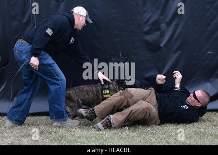 Personal. Sgt David Yaronczyk, 375-jährigen Sicherheit Kräfte Squadron militärische zieht Fay, 375-jährigen SFS militärischer Arbeitshund, aus techn. Sgt. Bryan Dell, 375-jährigen SFS NCOIC militärischer Arbeitshund Abschnitt, während Fang Aggression training 20. März 2015, bei der 375-jährigen SFS militärischen arbeiten Hundezwinger auf der Scott Air Force Base, Ill. MWDs werden ausgebildet, Lackland Air Force Base wo sie eine 120-Tage-Grundkurs durchlaufen , dann sie kontinuierlich im Laufe ihrer Karriere durch den Handler und Trainer ausgebildet werden.  Senior Airman Tristin Englisch) Stockfoto