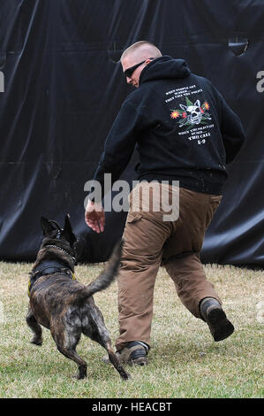 Techn. Sgt. Bryan Dell, 375-jährigen Sicherheit Kräfte Squadron NCOIC militärischer Arbeitshund Abschnitt verläuft von Fay, 375-jährigen SFS militärischer Arbeitshund, während Schnauze Aggression training 20. März 2015, bei der 375-jährigen SFS militärischen arbeiten Hundezwinger auf Scott Air Force Base, Ill. Bevor Sie zu militärischen Arbeitshunde müssen sie ihre eigenen Grundausbildung lernen Grundgehorsam, kontrollierte Aggression und so einen Verdächtigen im Innen- und Außenbereich finden Sie durchlaufen. Senior Airman Tristin Englisch) Stockfoto