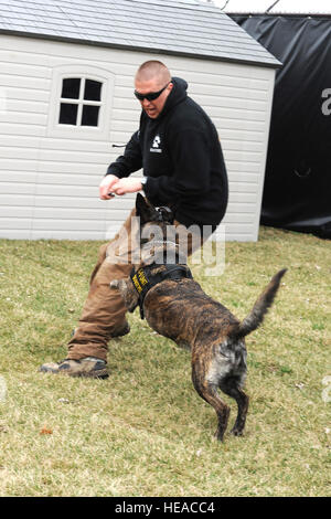 Techn. Sgt. Bryan Dell, 375-jährigen Sicherheit Kräfte Squadron NCOIC militärischer Arbeitshund Abschnitt verläuft von Fay, 375-jährigen SFS militärischer Arbeitshund, während Schnauze Aggression training 20. März 2015, bei der 375-jährigen SFS militärischen arbeiten Hundezwinger auf Scott Air Force Base, Ill. Bevor man militärische Arbeitshunde, müssen sie durch ihre eigenen Grundausbildung, Grundgehorsam, kontrollierte Aggression und so einen Verdächtigen im Innen- und Außenbereich finden Sie lernen gehen.  Senior Airman Tristin Englisch) Stockfoto