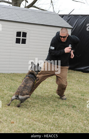 Techn. Sgt. Bryan Dell, 375-jährigen Sicherheit Kräfte Squadron NCOIC militärischer Arbeitshund Abschnitt verläuft von Fay, 375-jährigen SFS militärischer Arbeitshund, während Schnauze Aggression training 20. März 2015, bei der 375-jährigen SFS militärischen arbeiten Hundezwinger auf Scott Air Force Base, Ill. Bevor man militärische Arbeitshunde, müssen sie durch ihre eigenen Grundausbildung, Grundgehorsam, kontrollierte Aggression und so einen Verdächtigen im Innen- und Außenbereich finden Sie lernen gehen.  Senior Airman Tristin Englisch) Stockfoto