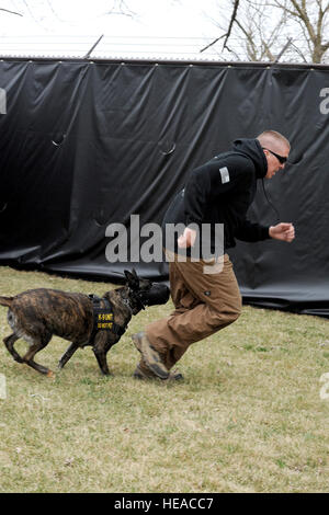 Techn. Sgt. Bryan Dell, 375-jährigen Sicherheit Kräfte Squadron NCOIC militärischer Arbeitshund Abschnitt verläuft von Fay, 375-jährigen SFS militärischer Arbeitshund, während Schnauze Aggression training 20. März 2015, bei der 375-jährigen SFS militärischen arbeiten Hundezwinger auf Scott Air Force Base, Ill. Bevor man militärische Arbeitshunde, müssen sie durch ihre eigenen Grundausbildung, Grundgehorsam, kontrollierte Aggression und so einen Verdächtigen im Innen- und Außenbereich finden Sie lernen gehen.  Senior Airman Tristin Englisch) Stockfoto