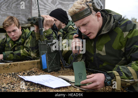 Drei schwedische Soldaten arbeiten als Team während des Anrufs für Feuer-Veranstaltung im Rahmen der Europäischen besten Sniper Squad Wettbewerb bei der 7. Armee Training Command Grafenwöhr Truppenübungsplatz Deutschland, 24. Oktober 2016. Die beste Sniper Squad Europapokal ist ein Army Europe-Wettbewerb herausfordernde Militärs aus in ganz Europa zu konkurrieren und verbessern die Zusammenarbeit mit Verbündeten und Partnerstaaten.  SPC. Sara Stalvey) Stockfoto