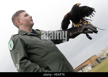 ROYAL AIR FORCE LAKENHEATH, England – Jake Snowling, ein 15-j hrige Redgrave Bewohner, hält ein Harris Hawk während einer Demonstration Greifvögel 8. Januar 2013. Die Demonstration war Teil einer "pilot für einen Tag" Veranstaltung, die Kinder, die leiden unter lebensbedrohlichen Krankheiten zu RAF Lakenheath kommen und erleben Sie wie es ist, ein Pilot sein können.  Staff Sgt Stephen Linch) Stockfoto