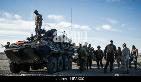 US-Marines zugewiesen 3. Light Armored Reconnaissance Battalion, 1. Marineabteilung und Taktik und Training Übung Kontrollgruppe 'Coyotes' verleihen vor Beginn der mechanisierten Hindernisparcours während integrierte Übung 2-16 im Marine Corps Air Ground Combat Center, Twentynine Palms, Kalifornien, 28. Januar 2016. MCAGCC führt entsprechende live-Feuer kombinierte Waffen, urbane Operationen und Gelenk/Koalition Integration Ebene Schulungen, die operativen Kräfte Bereitschaft fördern.  Senior Airman Steven A. Ortiz Stockfoto