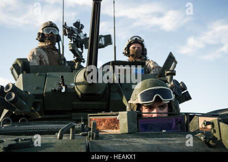 US-Marines zugewiesen 3. Light Armored Reconnaissance Bataillon, 1. Marineabteilung erwarten Aufträge innerhalb einer Light Armored Vehicle 25 während integrierte Übung 2-16 im Marine Corps Air Ground Combat Center, Twentynine Palms, Kalifornien, 28. Januar 2016 verschieben. MCAGCC führt entsprechende live-Feuer kombinierte Waffen, urbane Operationen und Gelenk/Koalition Integration Ebene Schulungen, die operativen Kräfte Bereitschaft fördern.  Senior Airman Steven A. Ortiz Stockfoto