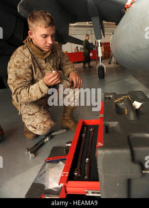 MOUNTAIN HOME AIR FORCE BASE, Idaho--CPL. Jason Fowler, Marine Attack Squadron 542 Ordnance Techniker aus Cherry Point, North Carolina, entnimmt einen Schraubenschlüssel ein Tool-Box, ein Kraftstoff-Leck auf eine AV-8 b Harrier II während der Berg Roundup Übung Okt. 21 zu beheben. Berg-Roundup ist eine große Kraft Übung läuft vom 15. Oktober bis 30 Oktober und beinhaltet Teilnehmer von der deutschen Luftwaffe, US Air Force, US Navy und US Marine Corps.  Airman 1st Class Debbie Lockhart) Stockfoto