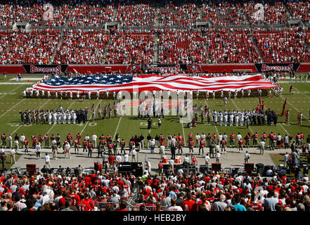 TAMPA, FL - NOVEMBER 4: von den Tampa Bay Buccaneers gegen die Arizona Cardinals im Raymond James Stadium am 4. November 2007 in Tampa, Florida. Tampa Bay gewonnen 17-10.   J. Meric/Tampa Bay Buccaneers) Stockfoto