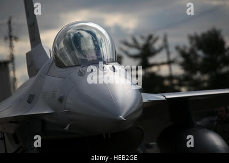 Major Phillip Stein bereitet seine F - 16C Fighting Falcon für Flug vor einer Trainingsmission 17. Dezember 2014, im Atlantic City Air National Guard Base, N.J. Stein ist eine f-16 Piloten mit der New Jersey Air National Guard 177. Kämpfer-Flügel. (U.S. Air National Guard Foto/techn. Sgt. Matt Hecht) Stockfoto