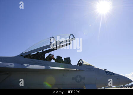 US Marine Seemann Hiapo McCandless zugewiesen eine Luftfahrt-Ordnanceman Electronic Attack Squadron 135, Naval Air Station Whidbey Island, Washington, Kontrollen Schalter im Cockpit eines Flugzeugs US Navy EA - 18G Growler 10. August 2016, während rote Fahne-Alaska 16-3, Eielson Air Force Base, Alaska. Die EA - 18G Growler Flugzeug ist die neueste elektronische Kampfflugzeuge, die in mehr als 35 Jahren gebaut.  Airman Isaac Johnson) Stockfoto