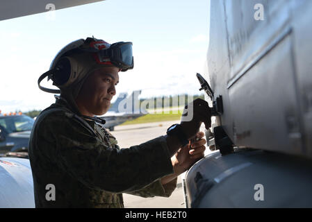 US Marine Seemann Hiapo McCandless, eine Luftfahrt-Ordnanceman Electronic Attack Squadron 135, Naval Air Station Whidbey Island, Washington, arbeiten auf einen Störsender ALQ-99-Pod auf ein Flugzeug der US Navy EA - 18G Growler 10. August 2016, während rote Fahne - Alaska 16-3, Eielson Air Force Base, Alaska zugewiesen. Die ALQ-99 ist ein taktischer Störsender System aus Störsender Fähigkeiten gegen Radar und Mitteilungen der gegnerischen Luftabwehr zu liefern.  Airman Isaac Johnson) Stockfoto