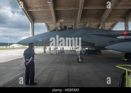 Eine f-15 Eagle aus dem 44. Jagdgeschwader Parks 26. Oktober 2016, auf der Kadena Air Base, Japan. Die 44. FS nahm an fünf Übungen innerhalb von vier Monaten in Malaysia, Guam, Hawaii und Alaska.  Airman 1st Class Corey M. Pettis Stockfoto