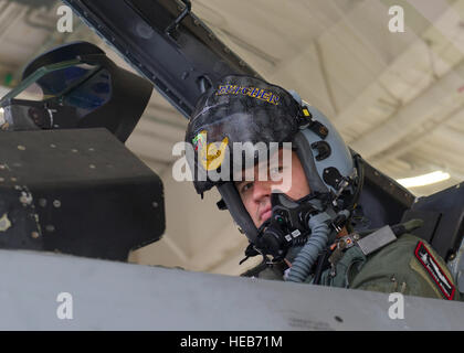 Captain John Widmer, Pilot bei der 54. Kämpfer-Gruppe bereitet sich auf einen Ausfall Training über die White Sands Missile Range 10.000 Quadratmeile Bereich auf der Holloman Air Force Base, N.M., 5. August. 54. FG ist eine Trennung von Luke AFB, Arizona, und ist stationiert in Holloman, High-Speed-Training zu erleichtern, live-Feuer Waffen Schulungs- und Nacht Flugbetrieb.  Airman 1st Class Leah Ferrante Stockfoto