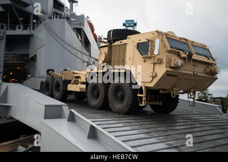 Eine Mine Resistant Ambush Protected Fahrzeug ist von der USNS Pomeroy (T-AKR-316), 10. Januar 2014, auf der gemeinsamen Basis Charleston – Weapons Station S.C abgeladen. Die Pomeroy hält etwa 1.400 Stück Fracht als Bestandteil der Nation prepositioning Kraft. Die 841st Transport-Bataillon wird entlasten und Entladen des Schiffes Fracht in 10 Tage bis zwei Wochen und die Armee strategische Logistik Aktivität Charleston reparieren und das Gerät zurücksetzen, bevor es erneut bereitgestellt wird. Senior Airman Ashlee Galloway) Stockfoto