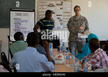 US Armee Sgt. Kayla McCarthy, kombiniert Joint Task Force-Horn von Afrika Ali Sabieh, Dschibuti, gemeinsame Civil Affairs Team Medic, teilt besten Arztpraxen, wenn die Versorgung eines Schlange biss Opfers in einem erste-Hilfe-Workshop vom 28.-31. Oktober 2012 in Dikhil, Dschibuti statt. US-Armee Soldaten aus dem 448th CA-Bataillon und zugewiesen, kombiniert Joint Task Force-Horn von Afrika eine Partnerschaft mit der Dikhil Office of Education, beste ärztliche und zahnärztliche Praxis mit 40 Djiboutian Instruktoren aus vier Grundschulen der Bezirk zu teilen.  (US Air Force Foto von Staff Sgt Christopher Ruano/RELEAS Stockfoto