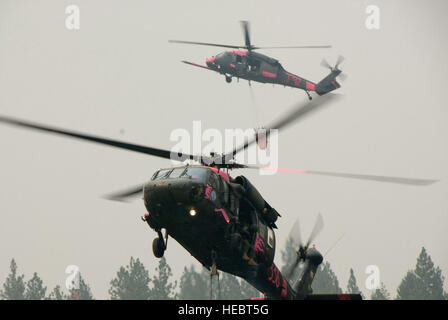 Eine Air National Guard Pave Hawk HH - 60G vom 129. Rescue Wing von Moffett Federal Flugplatz teilt Luftraum mit ein Army National Guard Black Hawk HH-60 aus dem 1-140.-Luftfahrt-Bataillon von Los Alamitos, Kalifornien  Die Chopper werden Wasser in den Eimer vom Paradies See in Butte County, Kalifornien zur Unterstützung der Operation Lightning Strike geladen. Stockfoto