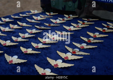 Kanadische Armee Sprung Flügel werden angezeigt, bevor Wahlvorschlags an Soldaten der US Army, Fort Bragg, N.C., 7. Dezember 2013. Die 16. jährlichen Randy Oler Betrieb Spielzeug Drop, veranstaltet von der US Army zivilen Angelegenheiten & psychologische Operation Command (Airborne), ist der größte in der Luft Mischbetrieb in der Welt wo Fort Bragg Fallschirmjäger und Alliierten Jumpmasters Spenden Spielzeug an Kinderheime und Sozialdienst Agenturen über die Gemeinde verteilt werden soll. (Foto: U.S. Air Force Senior Airman Kenneth W. Norman / veröffentlicht) Stockfoto